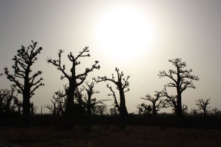 Sénégal